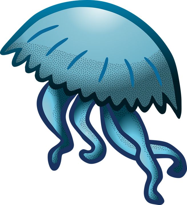 Jellyfish PNG    图片编号:47066