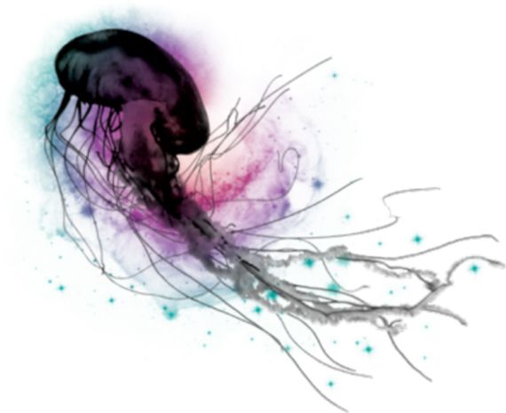 Jellyfish PNG    图片编号:47040