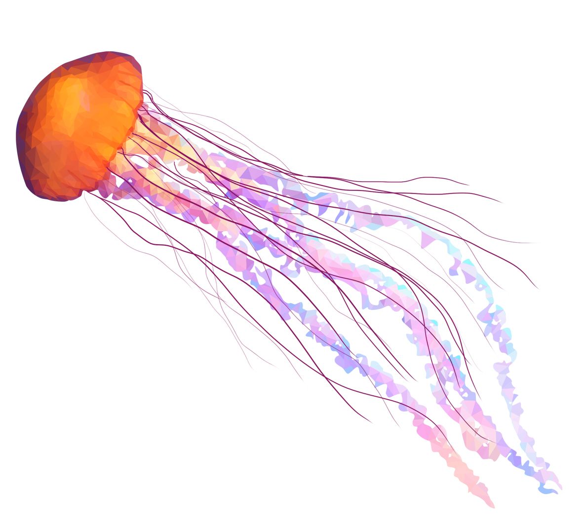 Jellyfish PNG    图片编号:47085