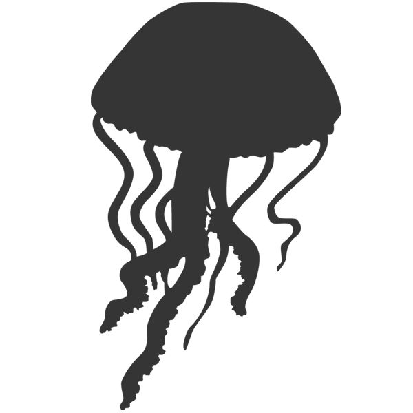 Jellyfish PNG    图片编号:47086