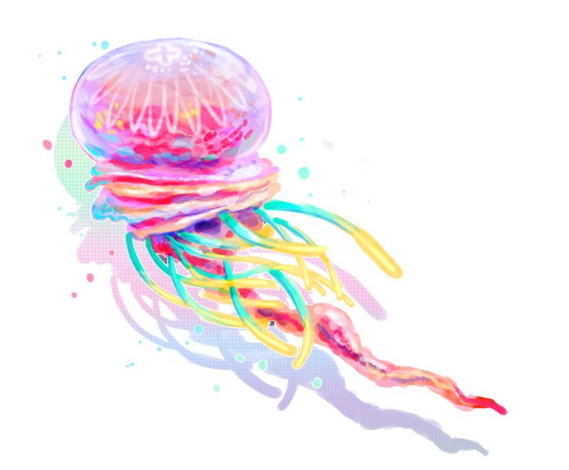 Jellyfish PNG    图片编号:47089