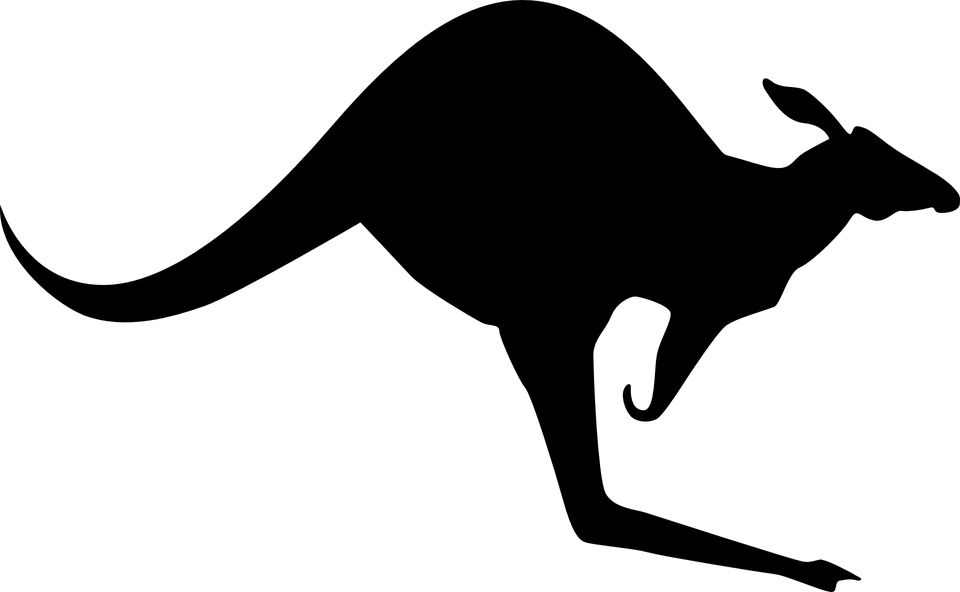Kangaroo PNG    图片编号:20675