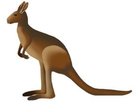 Kangaroo PNG    图片编号:20676