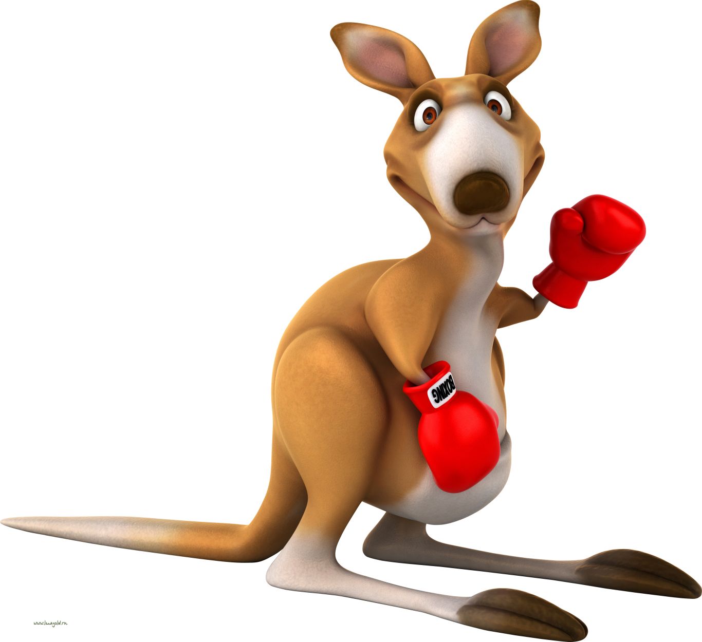 Kangaroo PNG    图片编号:96601