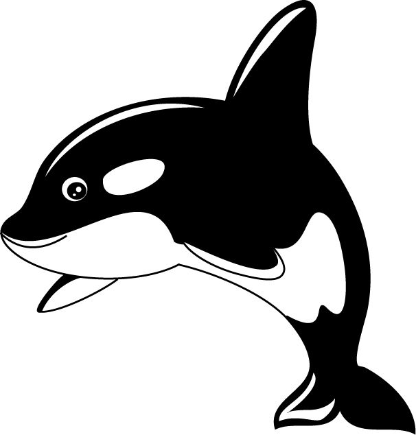 Killer whale PNG    图片编号:71288