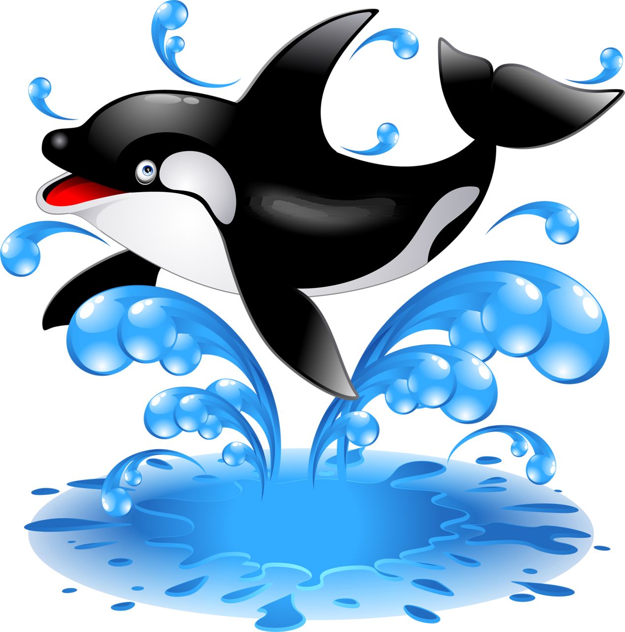Killer whale PNG    图片编号:71257
