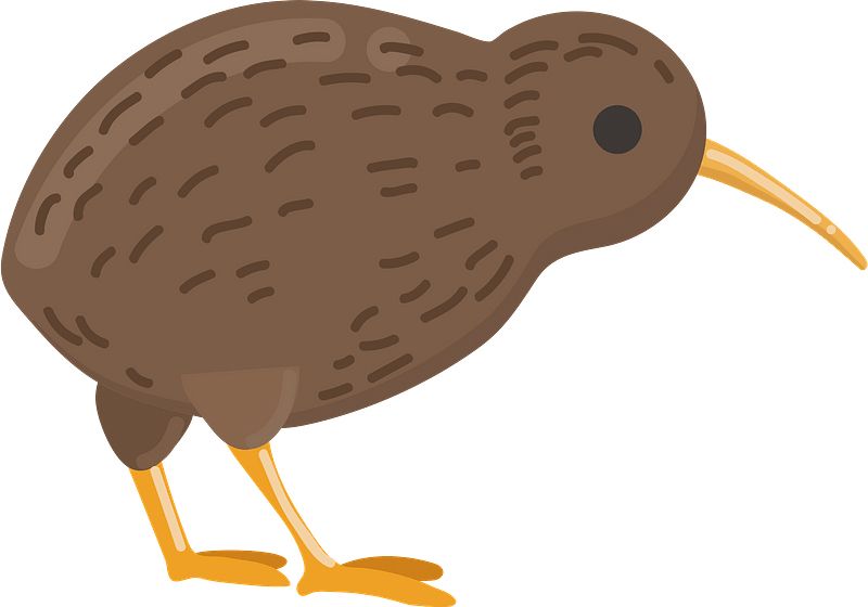Kiwi bird PNG    图片编号:104742