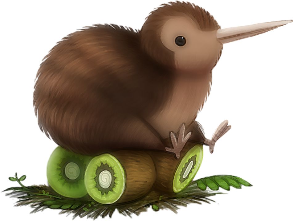 Kiwi bird PNG    图片编号:104747
