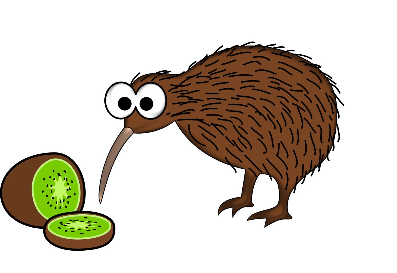 Kiwi bird PNG    图片编号:104732