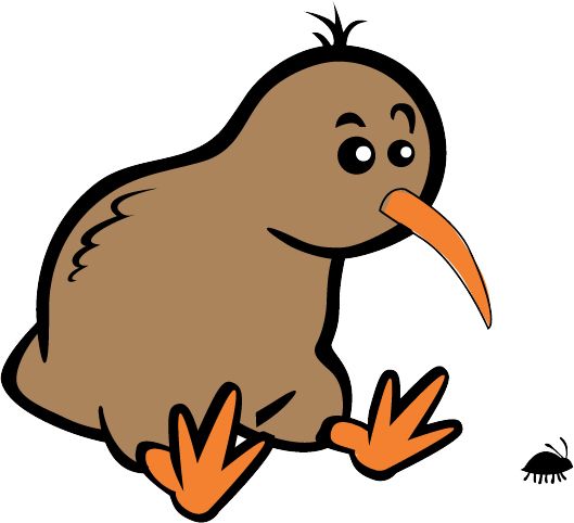 Kiwi bird PNG    图片编号:104733