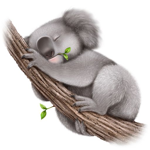 Koala PNG    图片编号:20692
