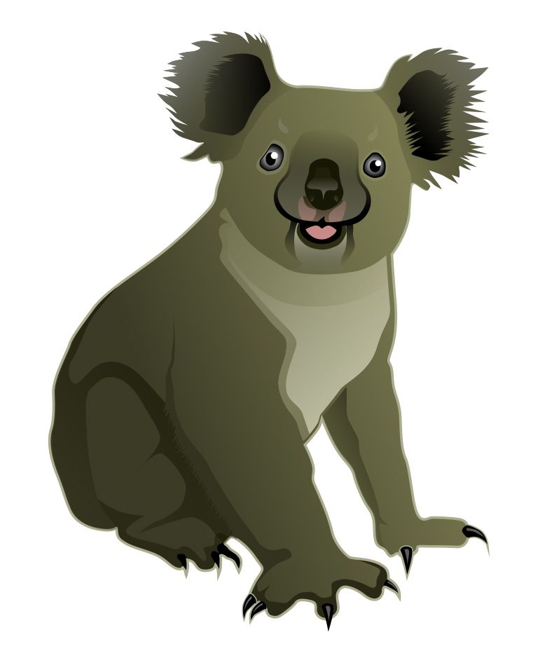 Koala PNG    图片编号:20687