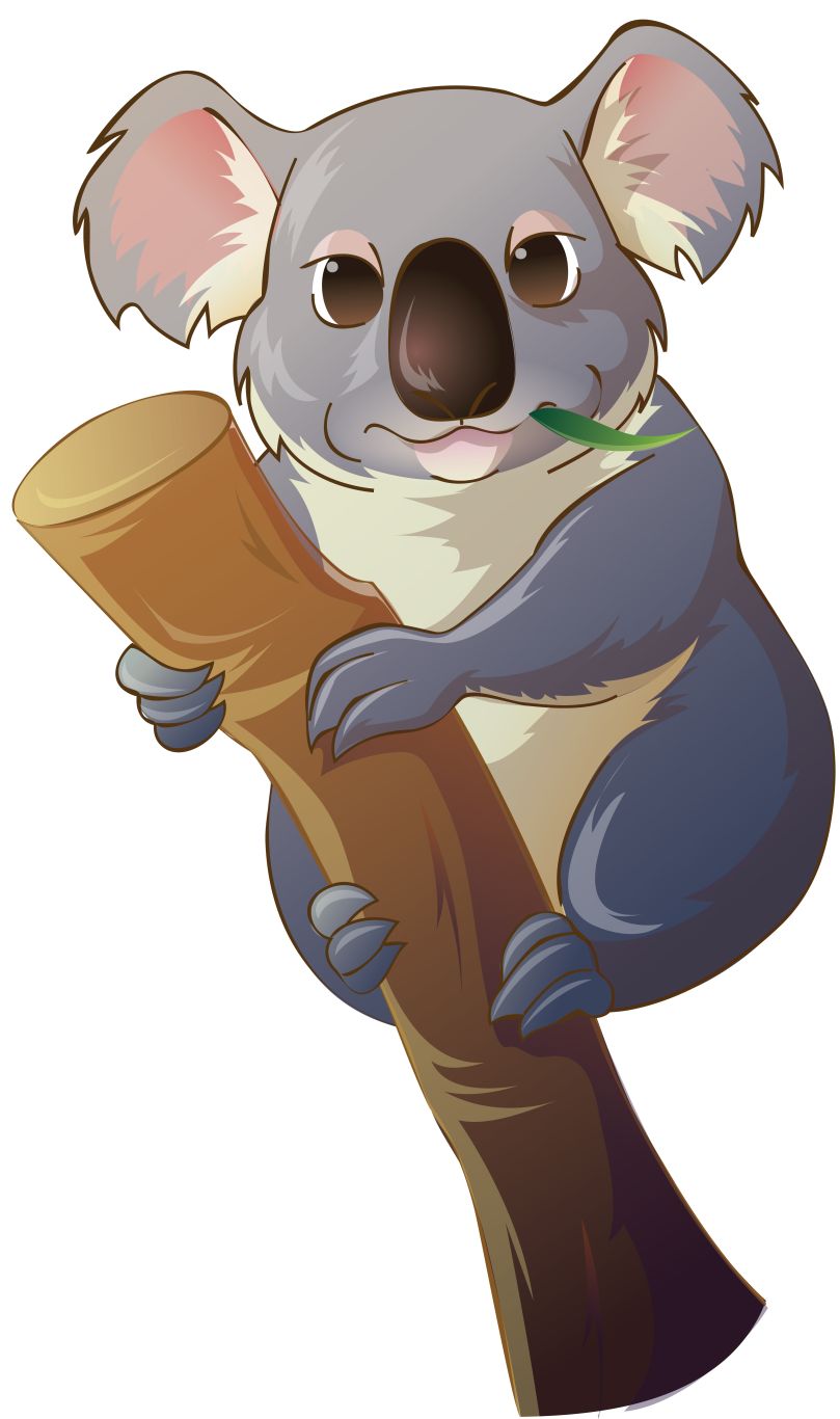 Koala PNG    图片编号:96592