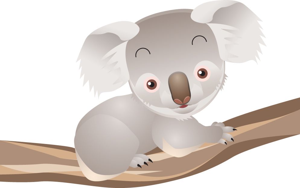 Koala PNG    图片编号:96594