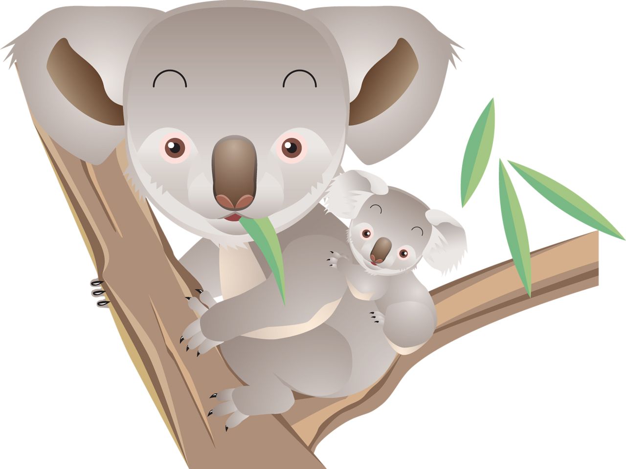 Koala PNG    图片编号:96595