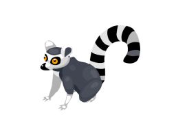 Lemur PNG    图片编号:61751