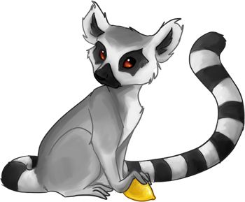Lemur PNG    图片编号:61765