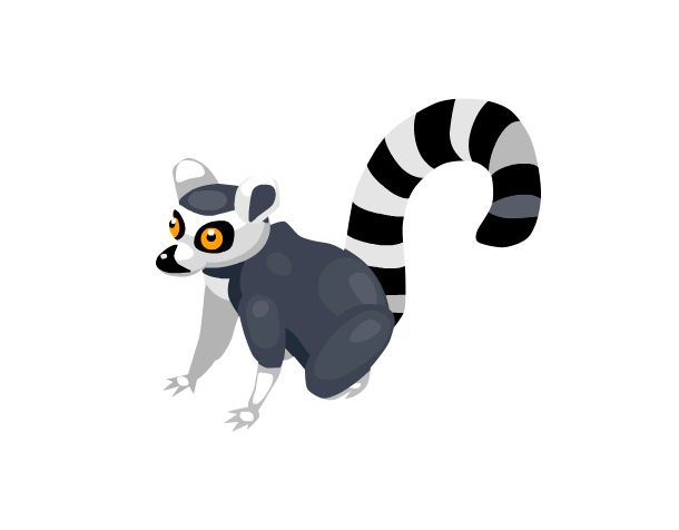 Lemur PNG    图片编号:61776
