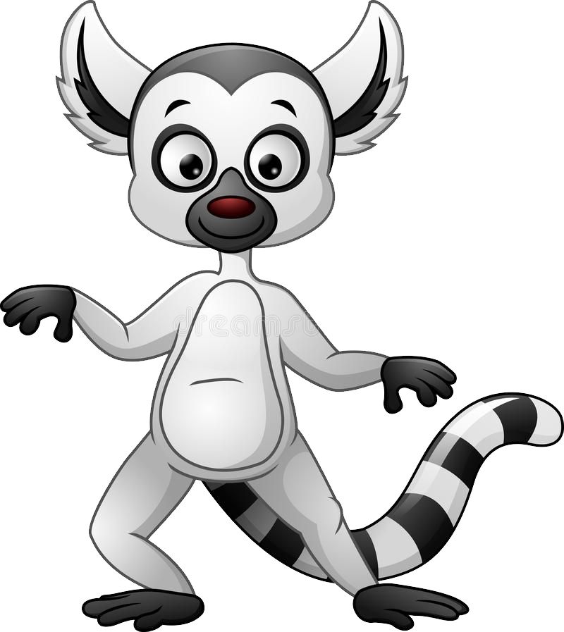 Lemur PNG    图片编号:61746