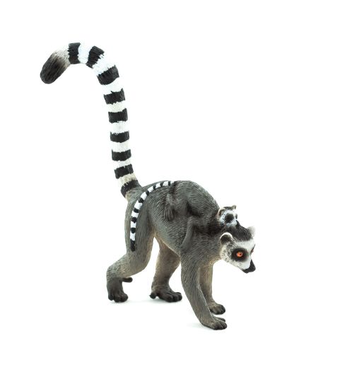 Lemur PNG    图片编号:61748