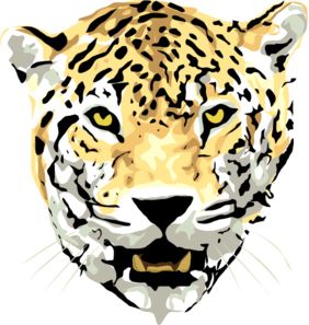 Leopard PNG    图片编号:14838