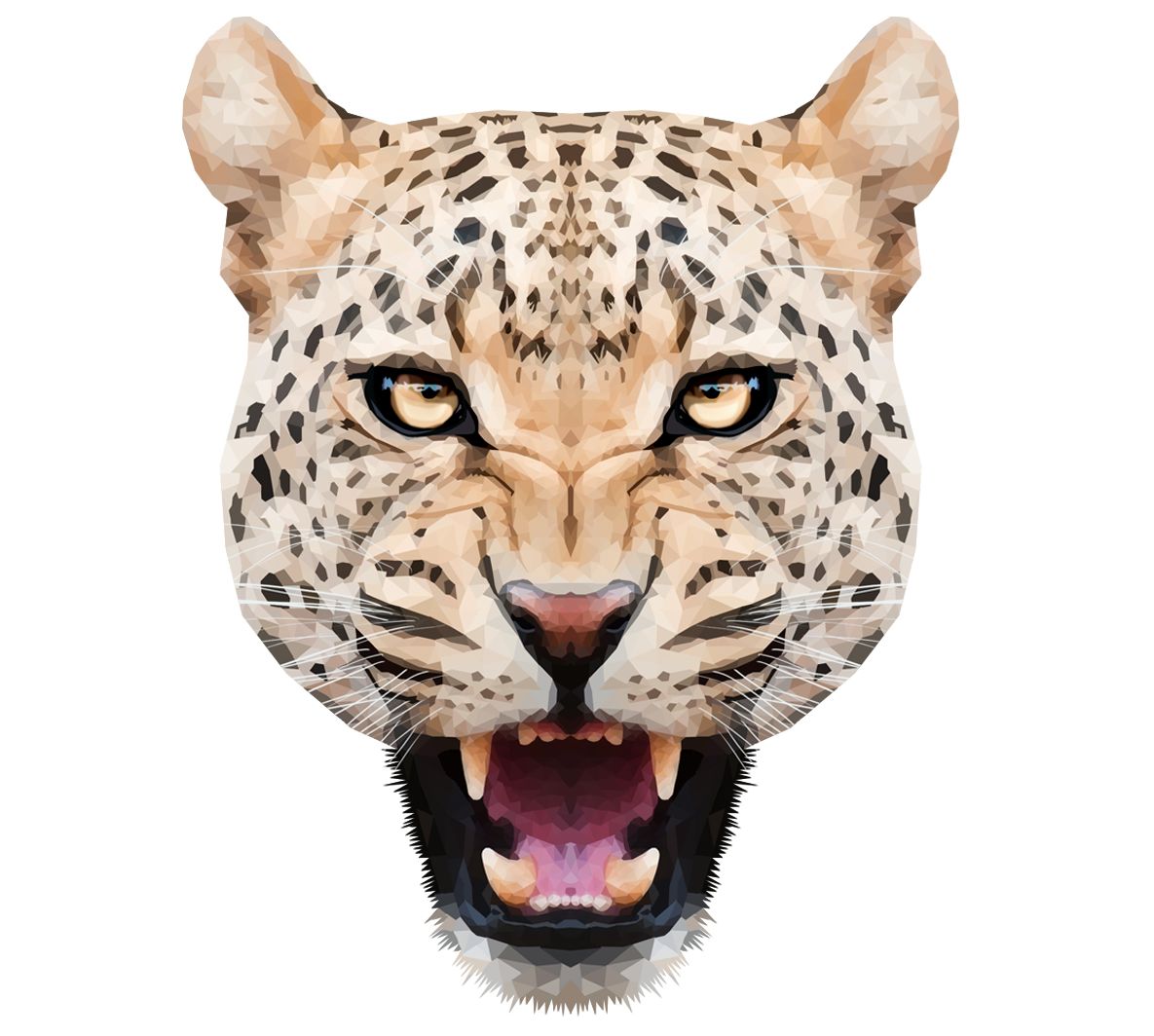 Leopard PNG    图片编号:14841