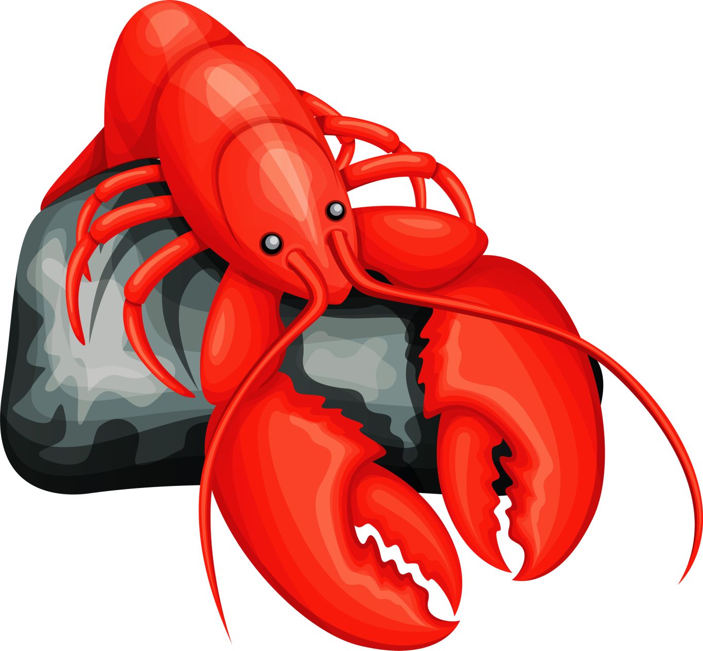 Lobster PNG    图片编号:14230