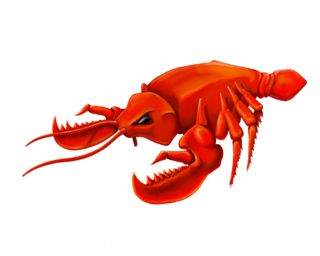 Lobster PNG    图片编号:14244