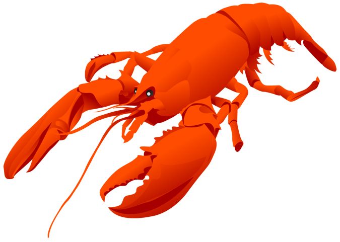 Lobster PNG    图片编号:14249