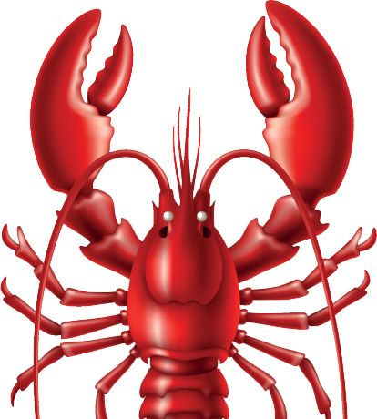 Lobster PNG    图片编号:14260