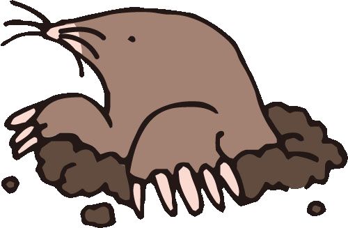 Mole PNG    图片编号:105940