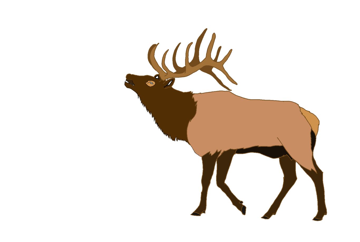 Moose, elk PNG    图片编号:66232