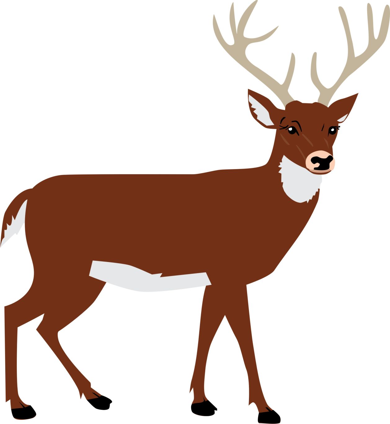 Moose, elk PNG    图片编号:66244