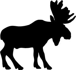 Moose, elk PNG    图片编号:66256