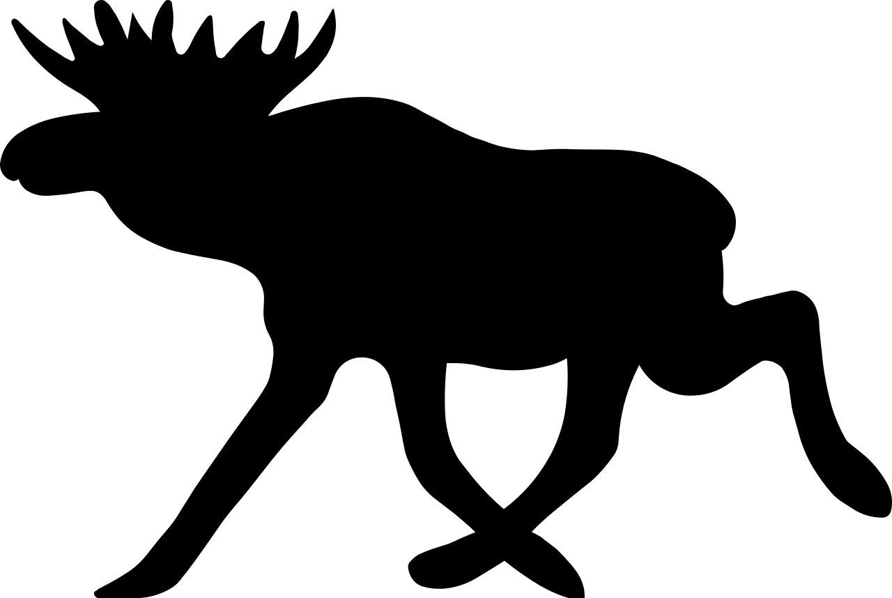 Moose, elk PNG    图片编号:66259