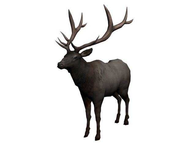 Moose, elk PNG    图片编号:66265