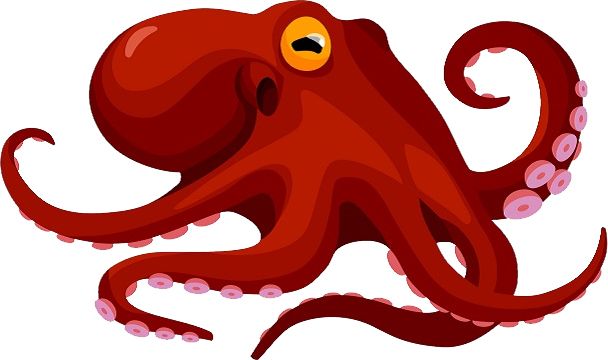 Octopus PNG    图片编号:46994