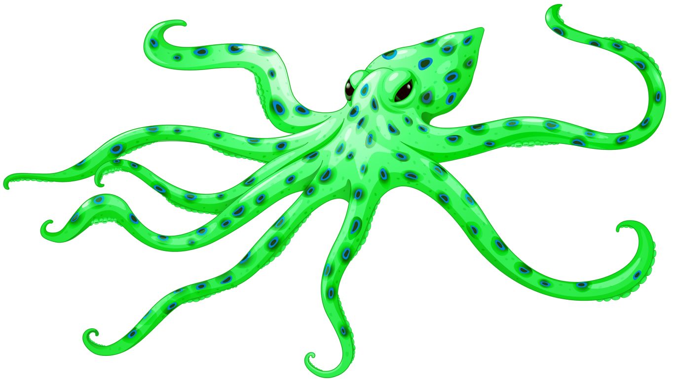 Octopus PNG    图片编号:47014