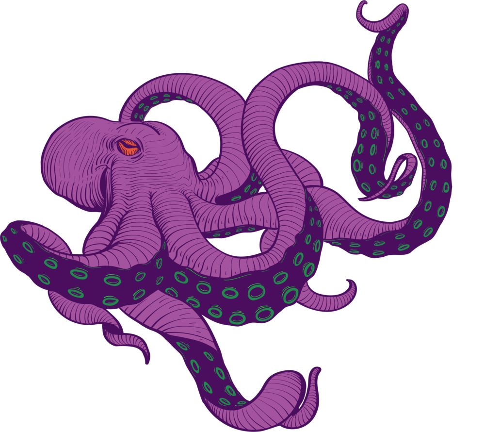 Octopus PNG    图片编号:47019