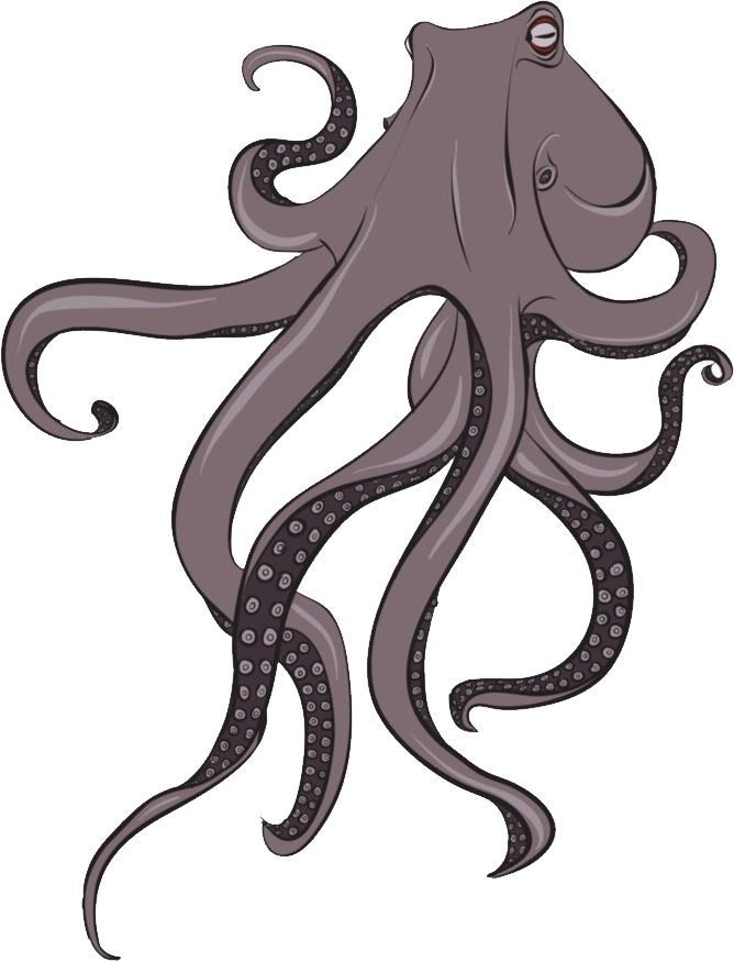 Octopus PNG    图片编号:46995