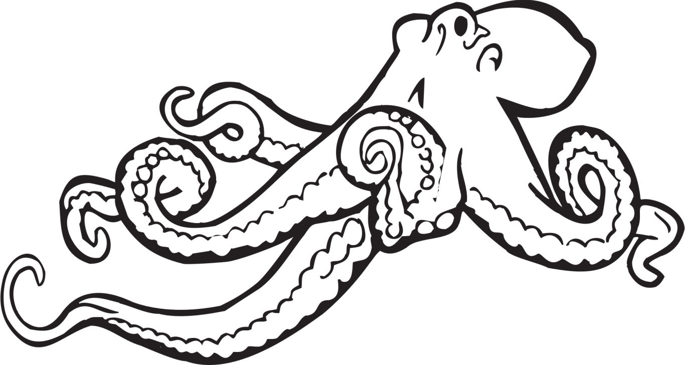 Octopus PNG    图片编号:47024