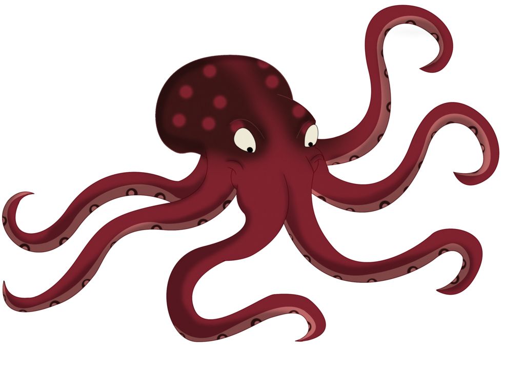 Octopus PNG    图片编号:47025