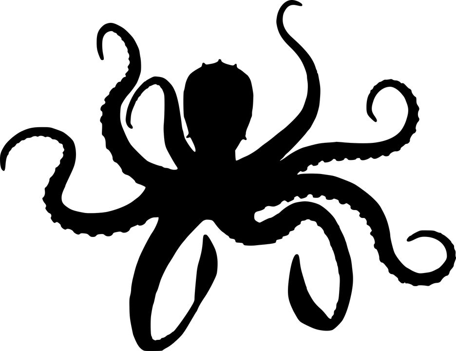 Octopus PNG    图片编号:47031