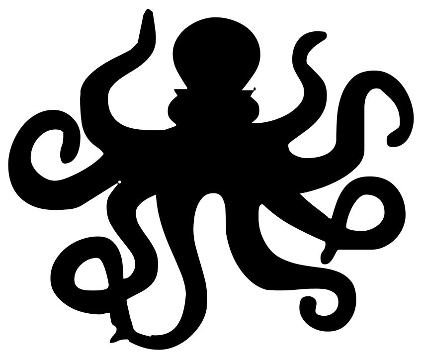 Octopus PNG    图片编号:47032