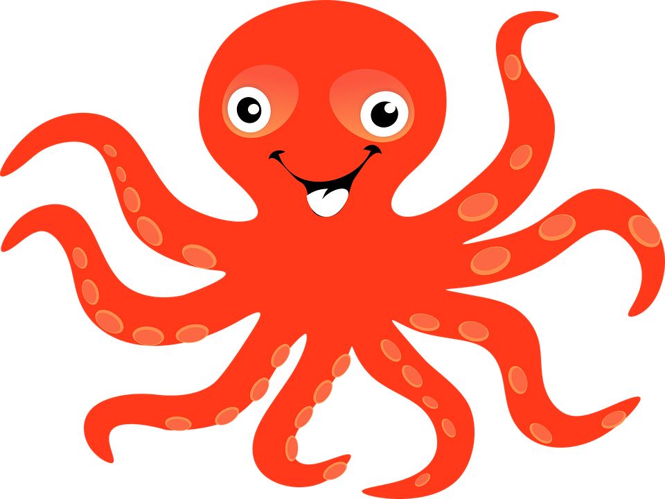 Octopus PNG    图片编号:47033