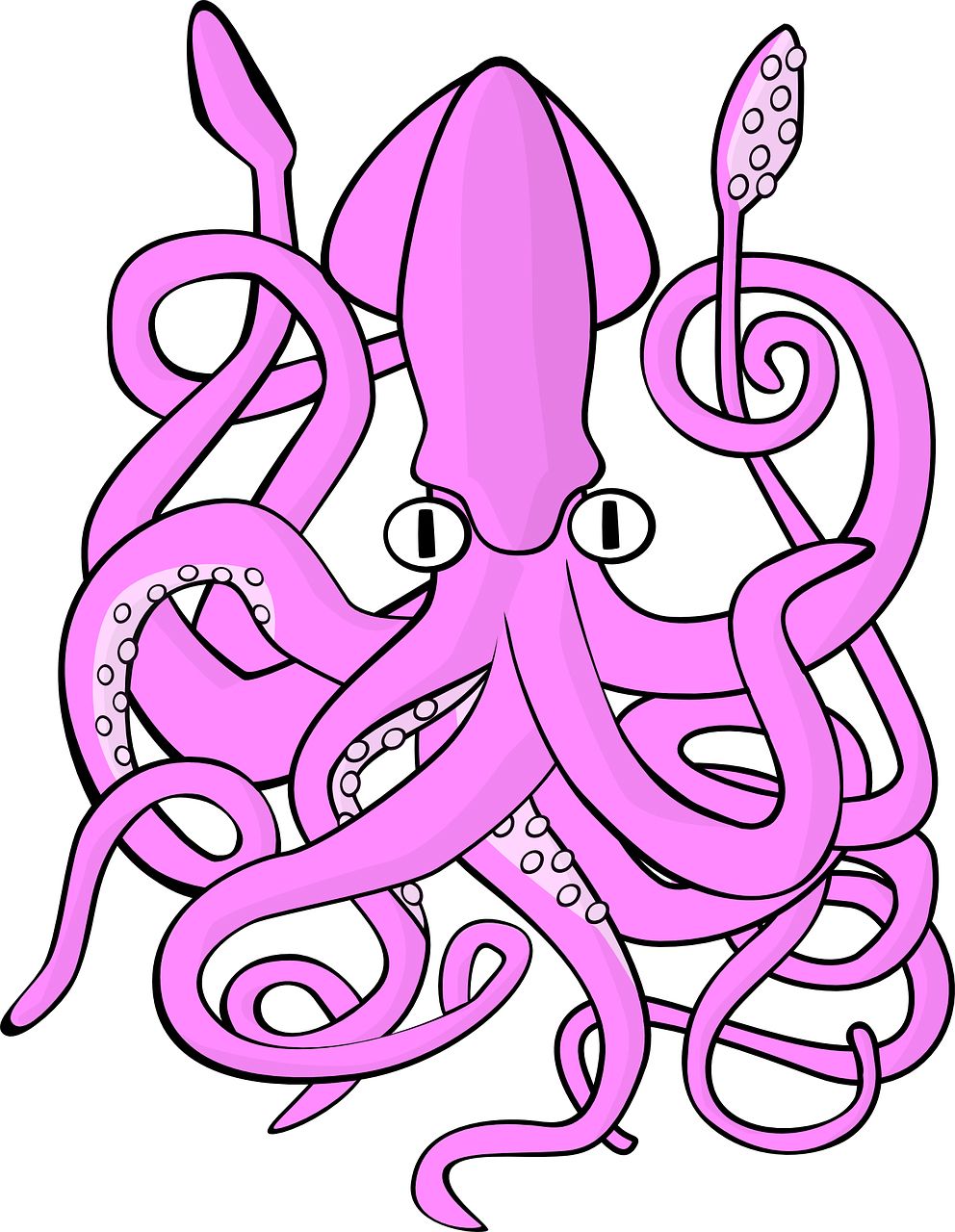 Octopus PNG    图片编号:47034