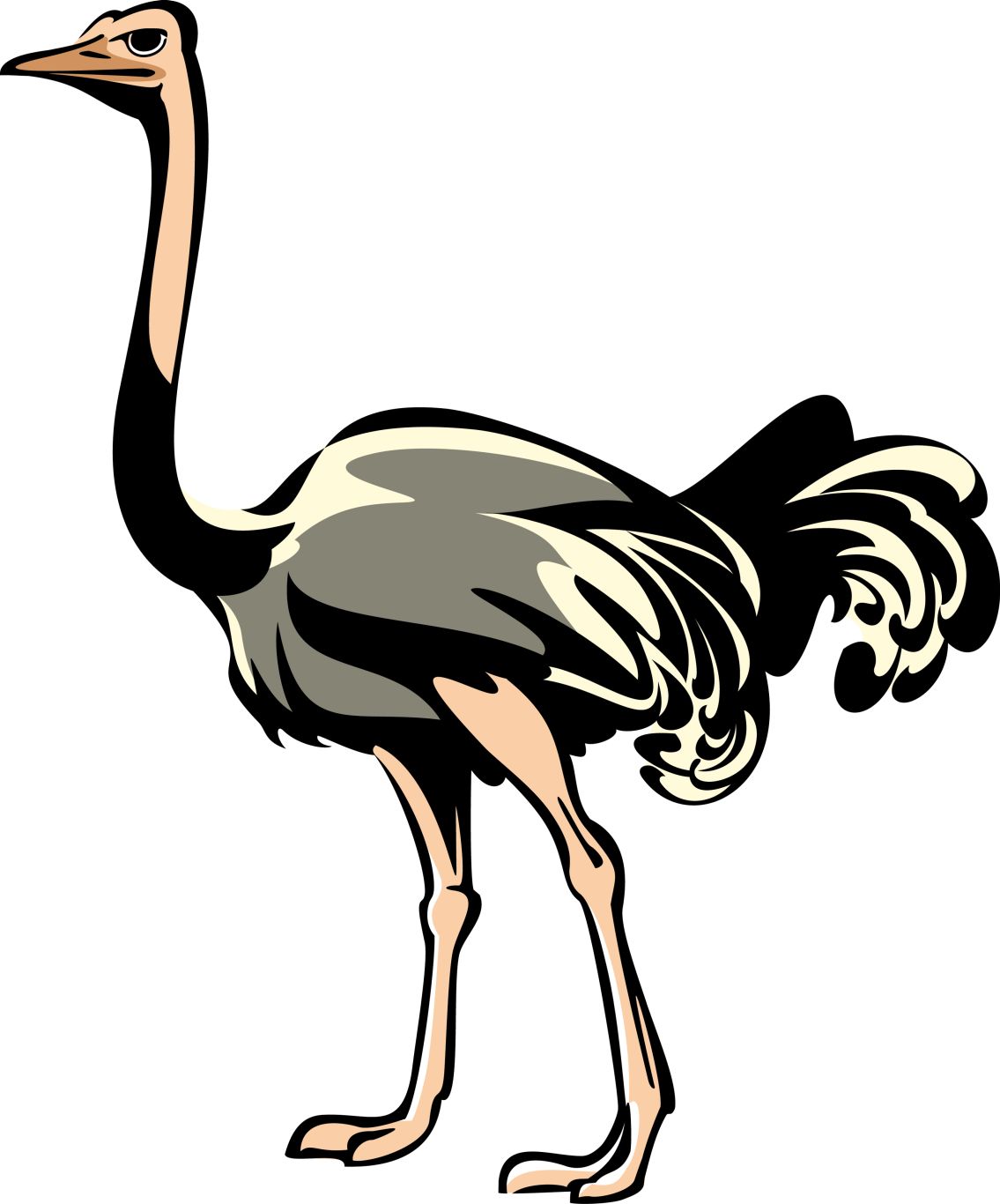 Ostrich PNG    图片编号:21427
