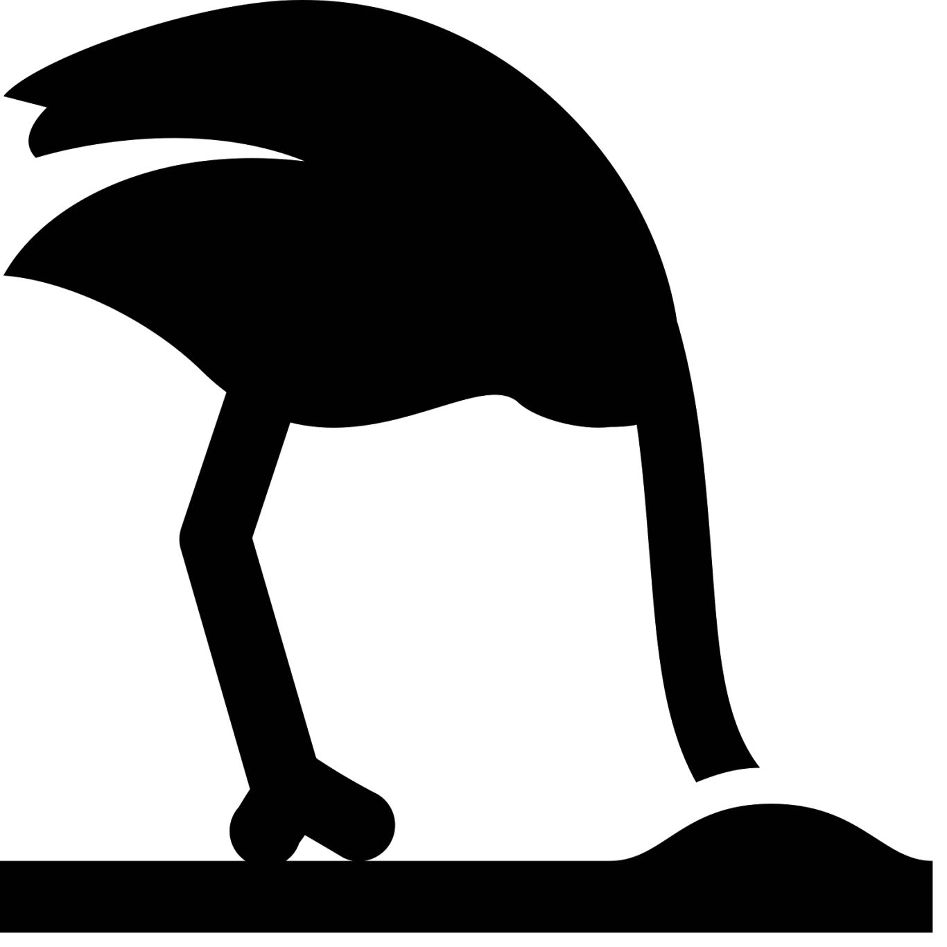 Ostrich PNG    图片编号:76959
