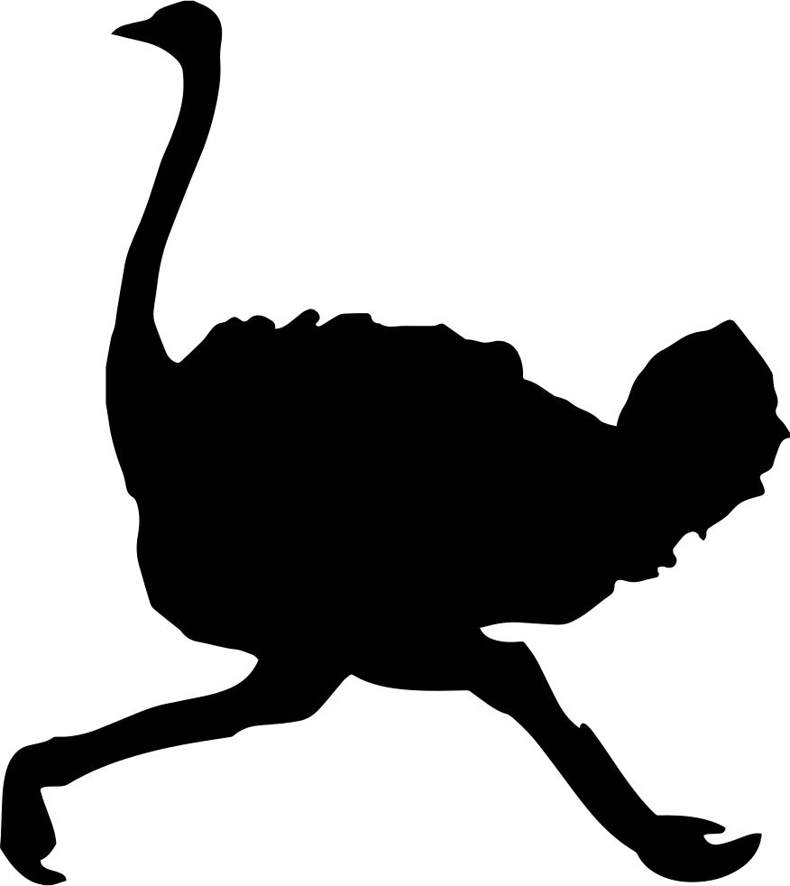 Ostrich PNG    图片编号:76968