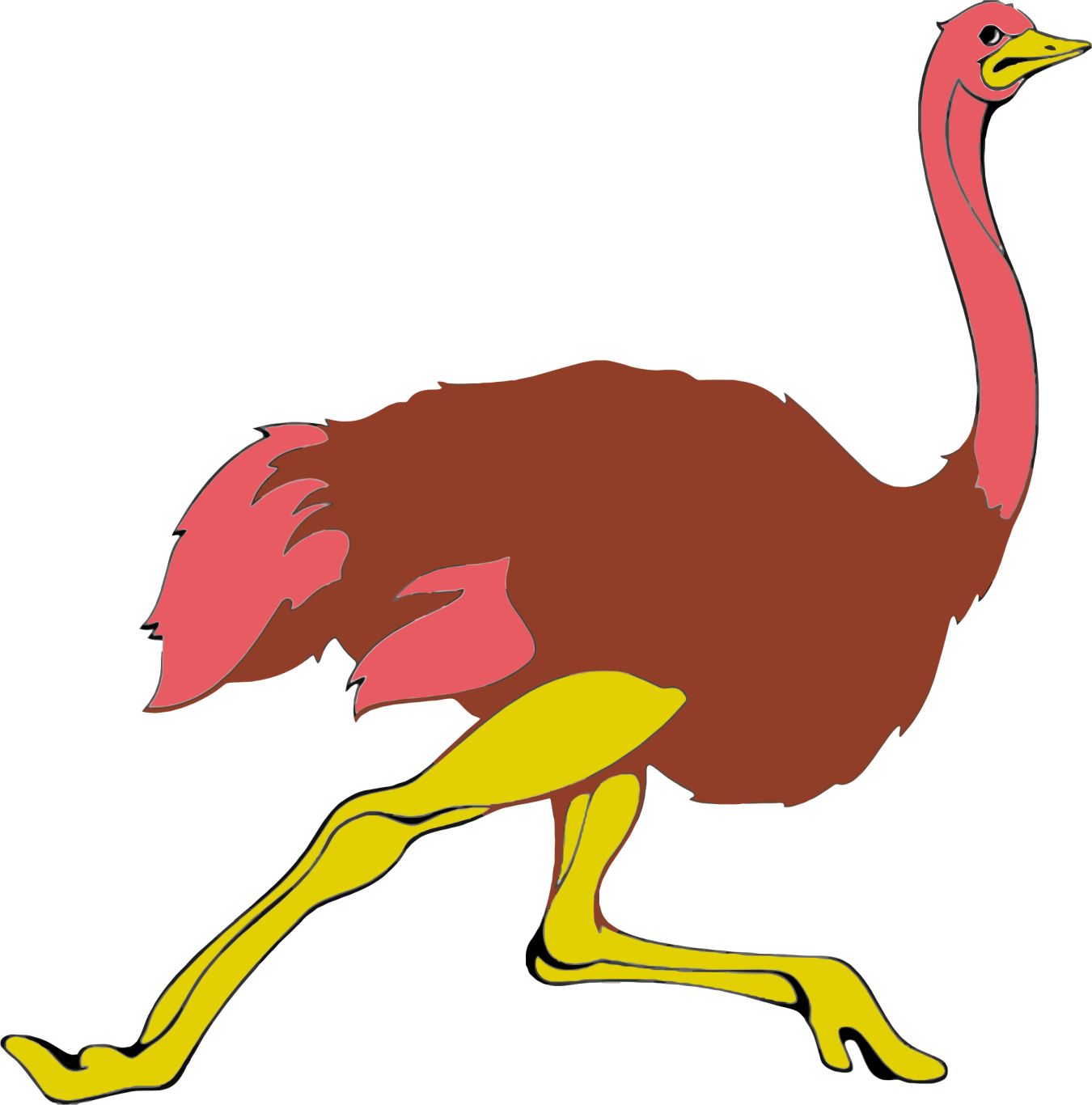 Ostrich PNG    图片编号:76986